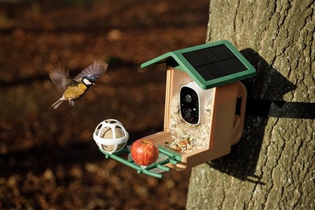 Rollei Smart AI Bird Feeder 3K